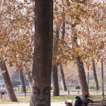 Un parc de Santiago