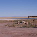 lagune du désert d'Atacama