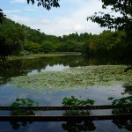 Le lac du temple Ryoan-ji