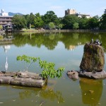 L'étang du parc de Nara