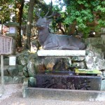 Le daim est vénéré à Nara